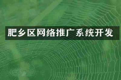 肥乡区网络推广系统开发