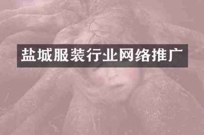 盐城服装行业网络推广