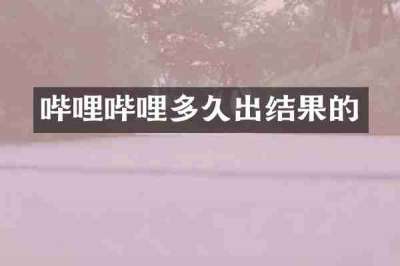 哔哩哔哩多久出结果的