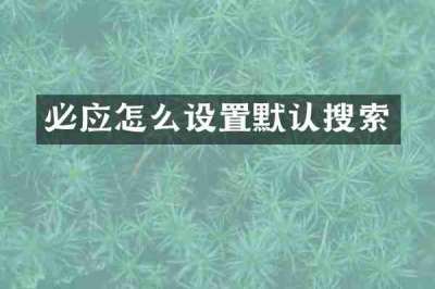 必应怎么设置默认搜索