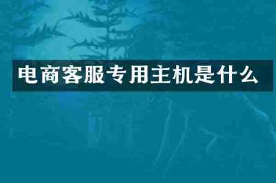 电商客服专用主机是什么
