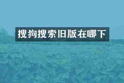 搜狗搜索旧版在哪下