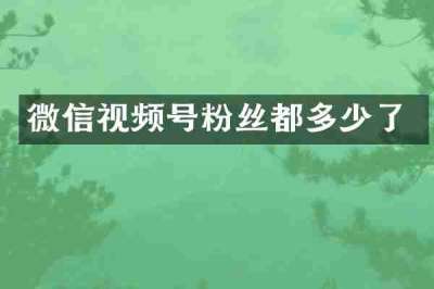 微信视频号粉丝都多少了