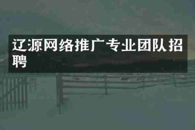 辽源网络推广专业团队招聘