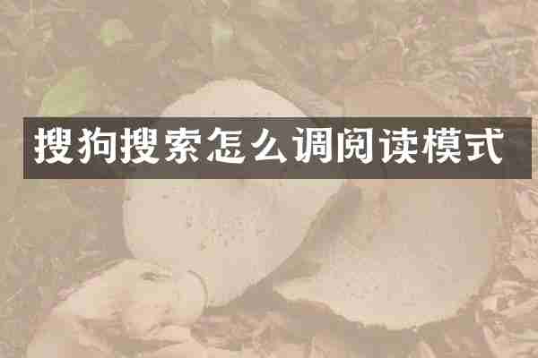 搜狗搜索怎么调阅读模式