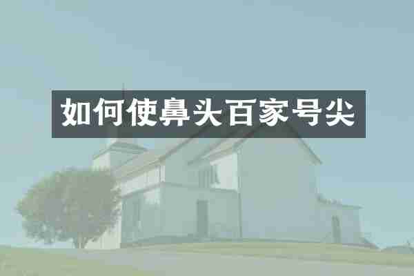 如何使鼻头百家号尖