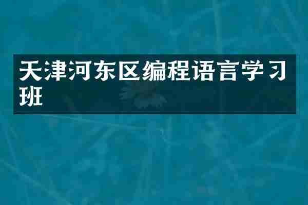 天津河东区编程语言学习班