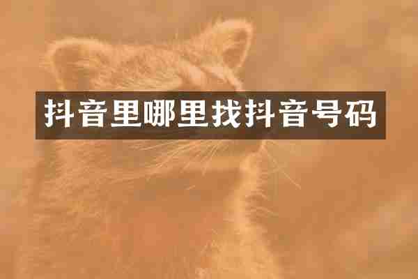抖音里哪里找抖音号码