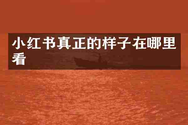 小红书真正的样子在哪里看