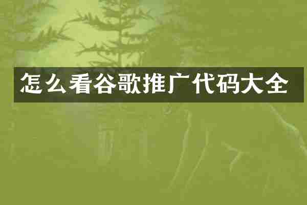 怎么看谷歌推广代码大全