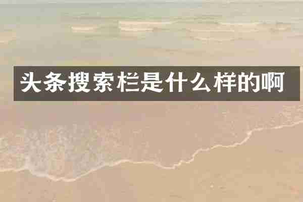 头条搜索栏是什么样的啊