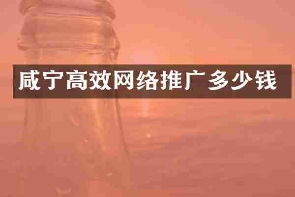 咸宁高效网络推广多少钱