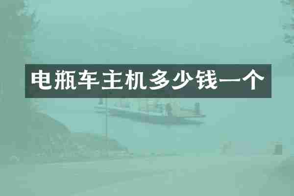 电瓶车主机多少钱一个