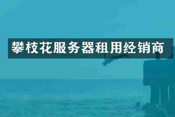 攀枝花服务器租用经销商