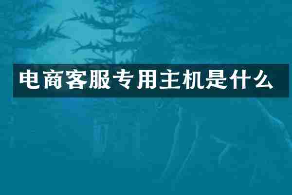电商客服专用主机是什么