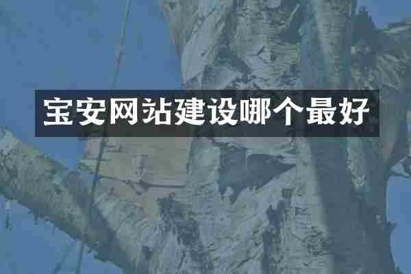 宝安网站建设哪个最好