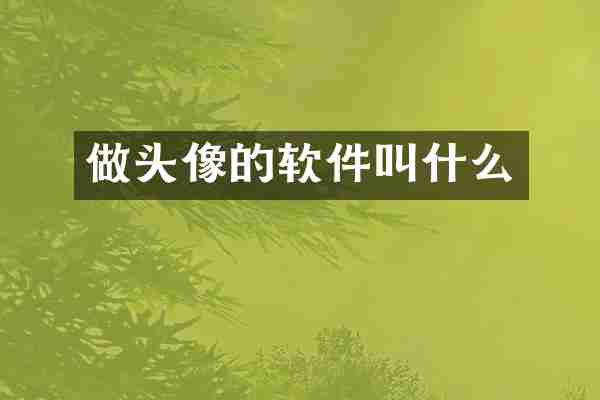 做头像的软件叫什么
