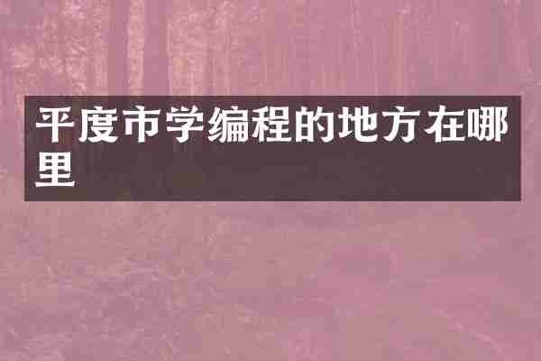 平度市学编程的地方在哪里