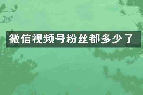 微信视频号粉丝都多少了