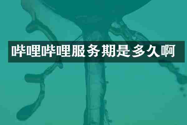 哔哩哔哩服务期是多久啊