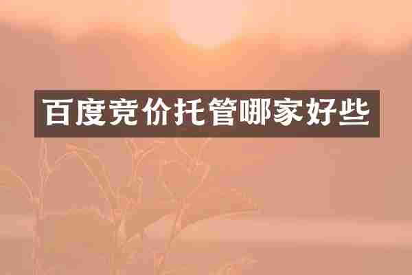 百度竞价托管哪家好些