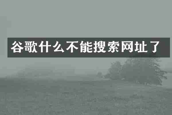 谷歌什么不能搜索网址了