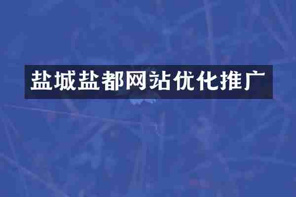 盐城盐都网站优化推广