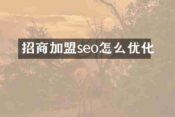 招商加盟seo怎么优化