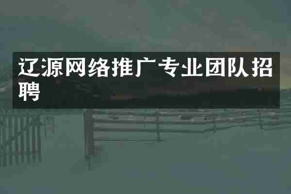 辽源网络推广专业团队招聘