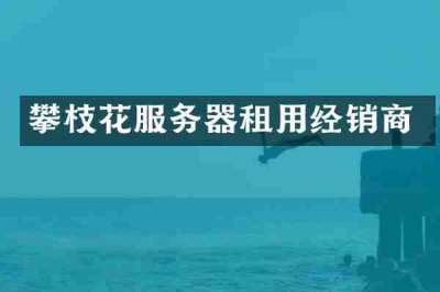 攀枝花服务器租用经销商