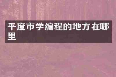 平度市学编程的地方在哪里