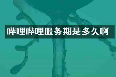 哔哩哔哩服务期是多久啊