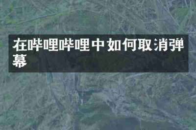 在哔哩哔哩中如何取消弹幕