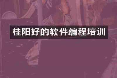 桂阳好的软件编程培训
