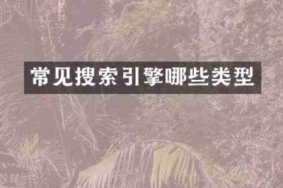 常见搜索引擎哪些类型