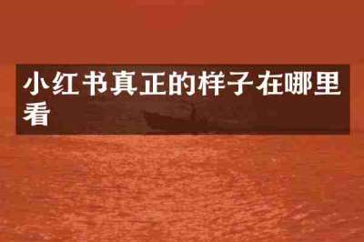 小红书真正的样子在哪里看