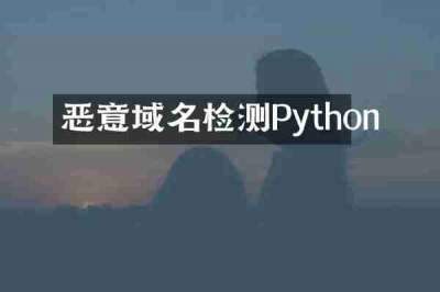 恶意域名检测Python