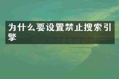 为什么要设置禁止搜索引擎