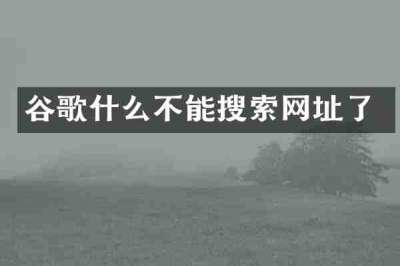 谷歌什么不能搜索网址了