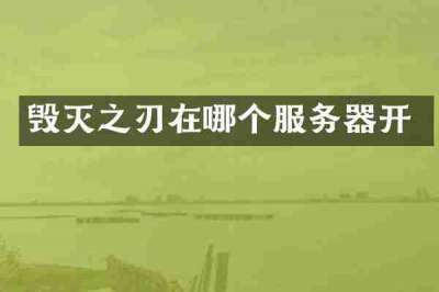 毁灭之刃在哪个服务器开