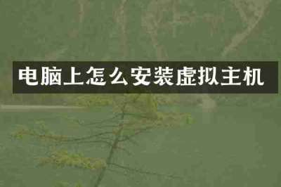 电脑上怎么安装虚拟主机