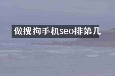 做搜狗手机seo排第几