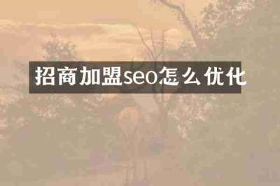 招商加盟seo怎么优化