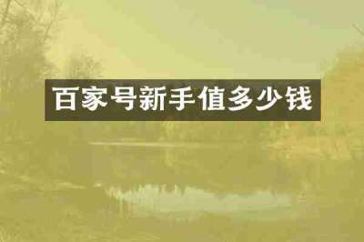 百家号新手值多少钱