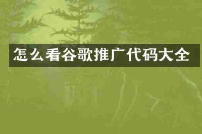 怎么看谷歌推广代码大全