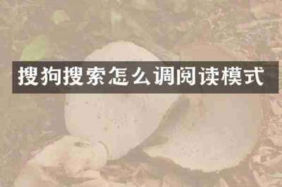 搜狗搜索怎么调阅读模式