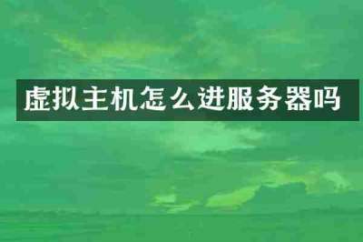 虚拟主机怎么进服务器吗