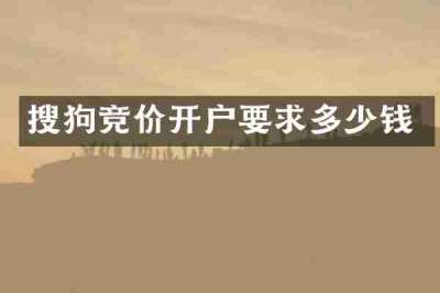 搜狗竞价开户要求多少钱