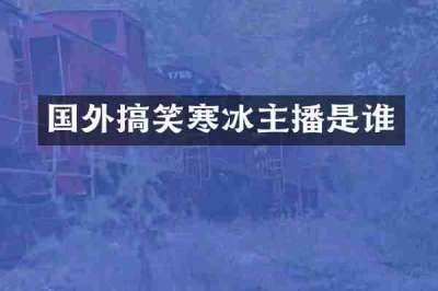 国外搞笑寒冰主播是谁
