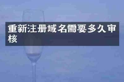 重新注册域名需要多久审核